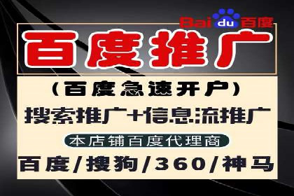 案例分析：百度竞价托管助力行业龙头